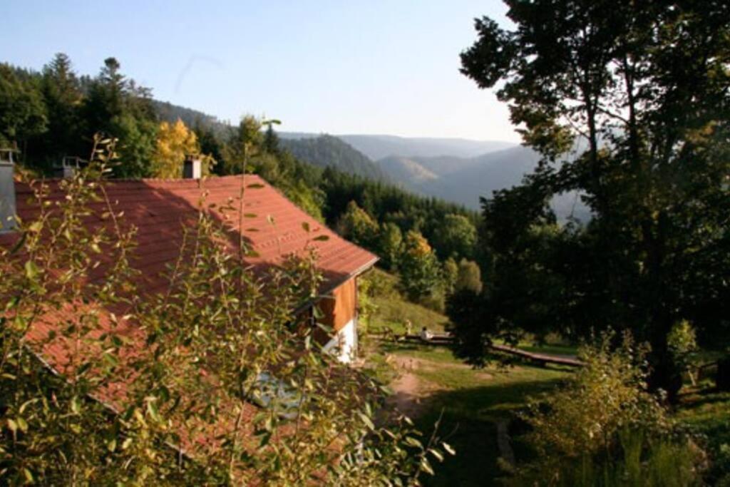 Appartement Dans Vielle Ferme Au Coeur Des Vosges Plainfaing Zewnętrze zdjęcie