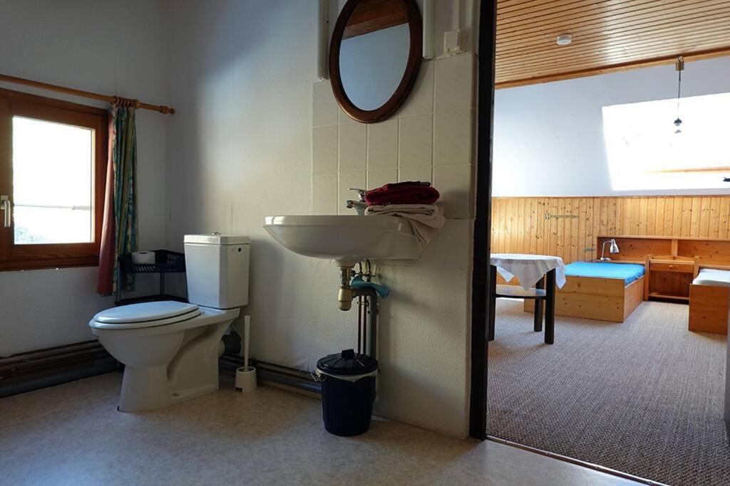 Appartement Dans Vielle Ferme Au Coeur Des Vosges Plainfaing Zewnętrze zdjęcie