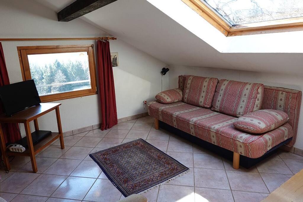 Appartement Dans Vielle Ferme Au Coeur Des Vosges Plainfaing Zewnętrze zdjęcie