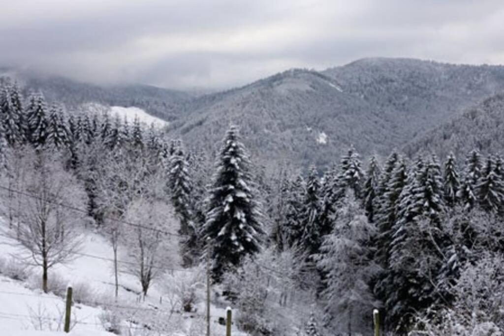Appartement Dans Vielle Ferme Au Coeur Des Vosges Plainfaing Zewnętrze zdjęcie