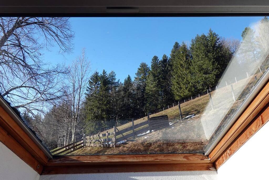 Appartement Dans Vielle Ferme Au Coeur Des Vosges Plainfaing Zewnętrze zdjęcie
