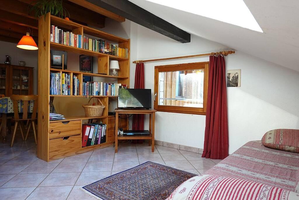 Appartement Dans Vielle Ferme Au Coeur Des Vosges Plainfaing Zewnętrze zdjęcie