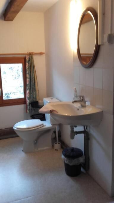 Appartement Dans Vielle Ferme Au Coeur Des Vosges Plainfaing Zewnętrze zdjęcie